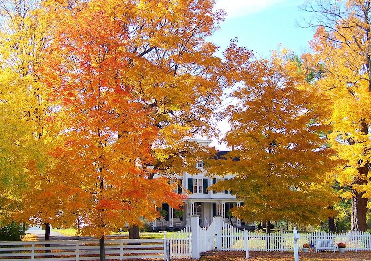 autumn fall house